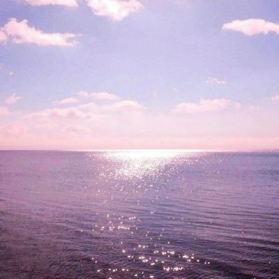 口袋全明星破解版下载