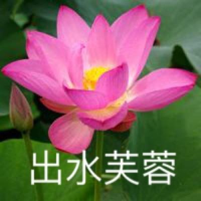 复古热血变态版下载